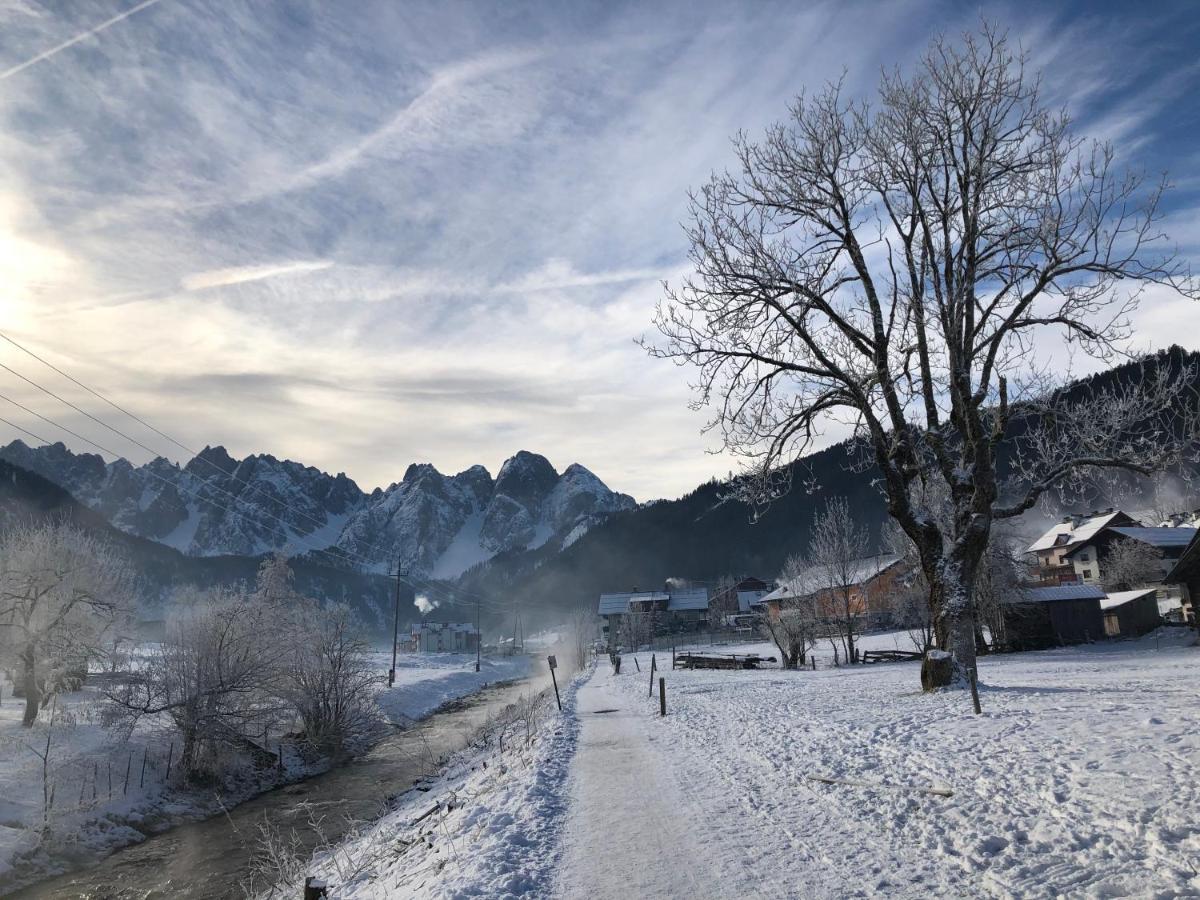Dachstein Mountainview Gosau Apartment Exterior foto