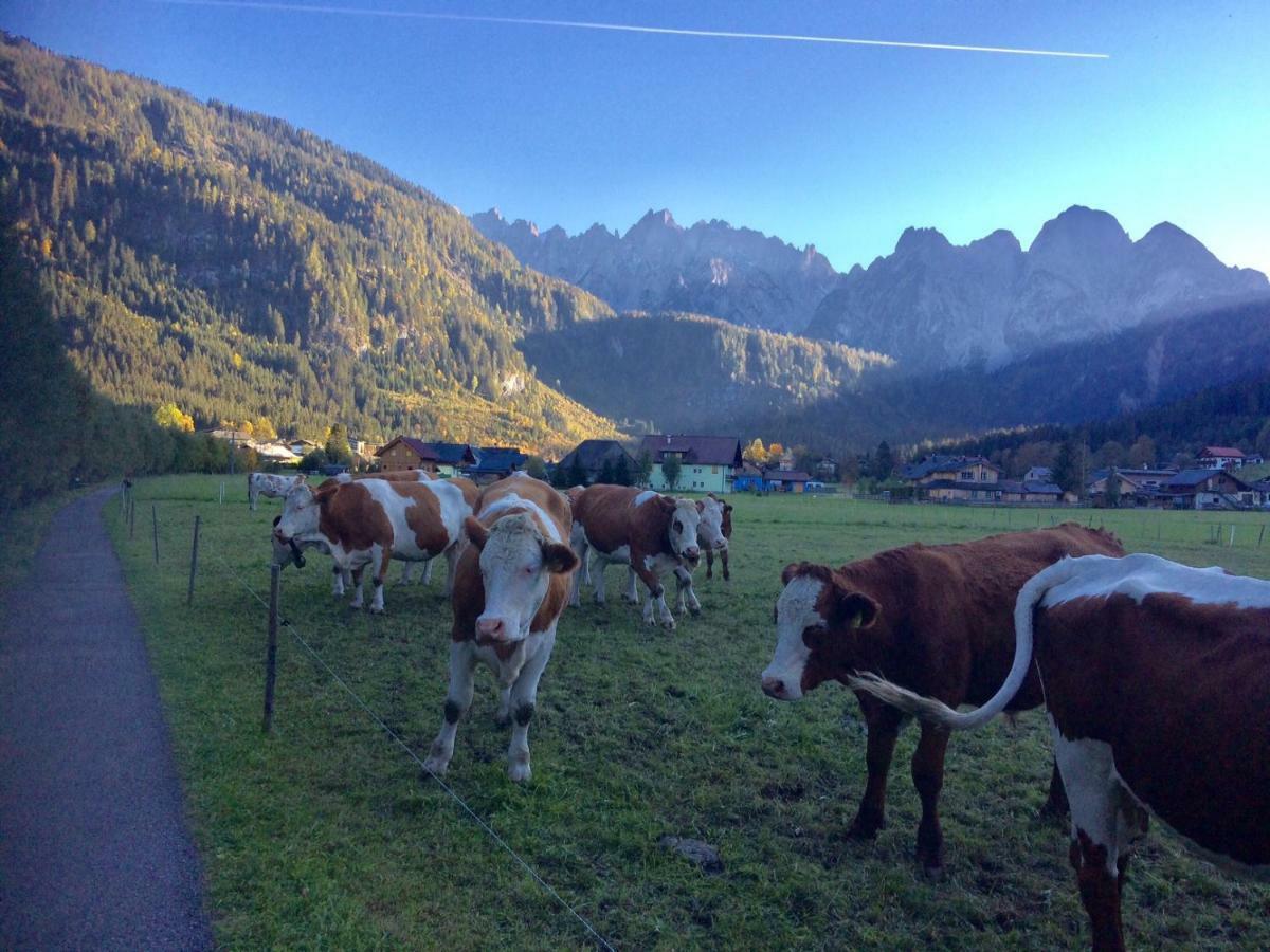 Dachstein Mountainview Gosau Apartment Exterior foto