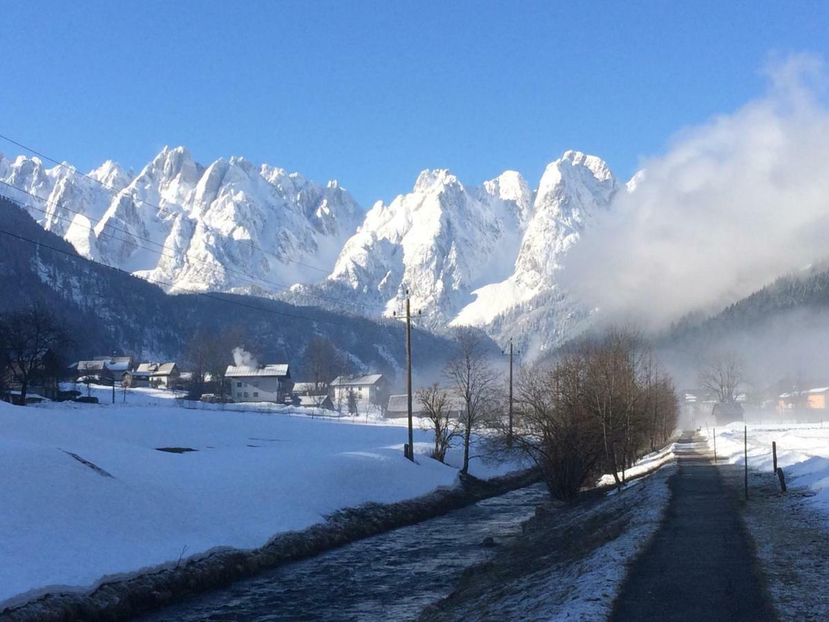 Dachstein Mountainview Gosau Apartment Exterior foto
