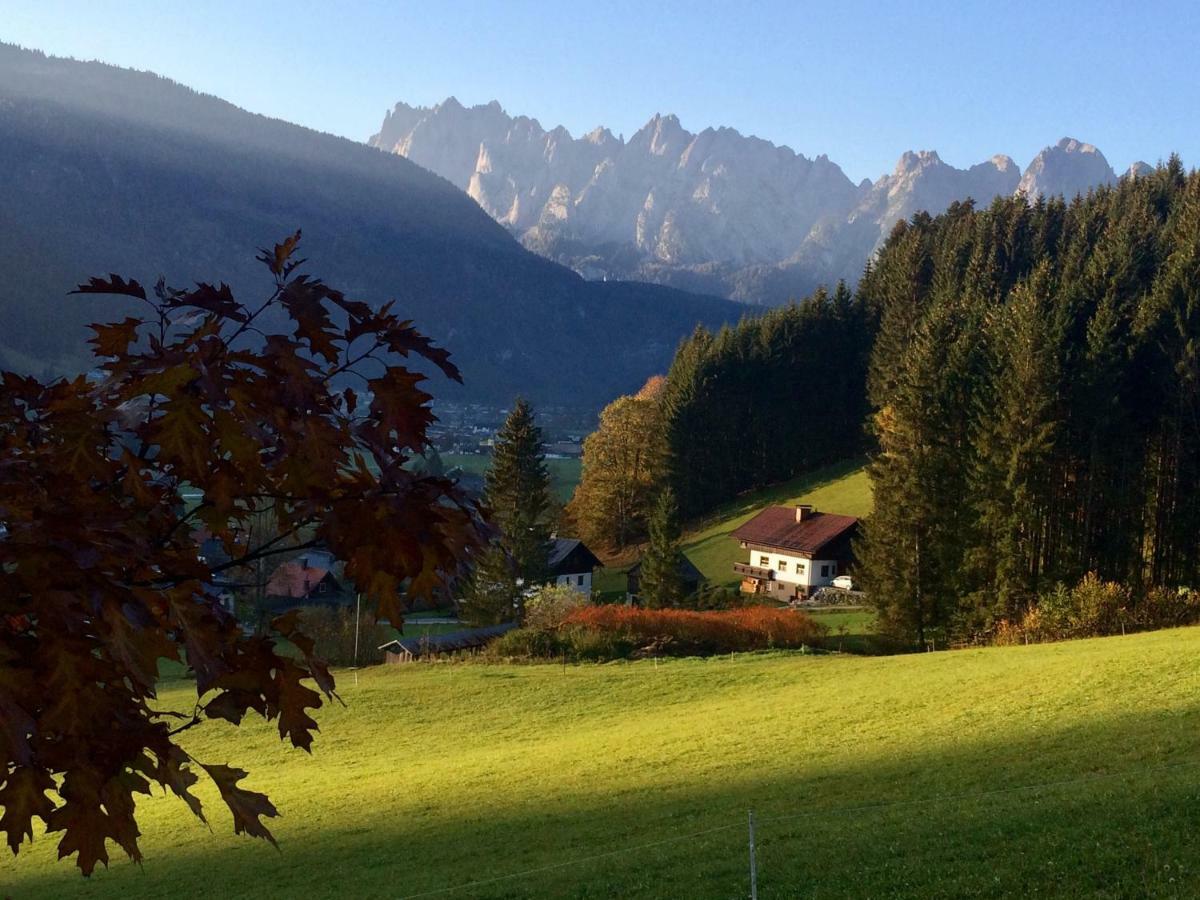 Dachstein Mountainview Gosau Apartment Exterior foto