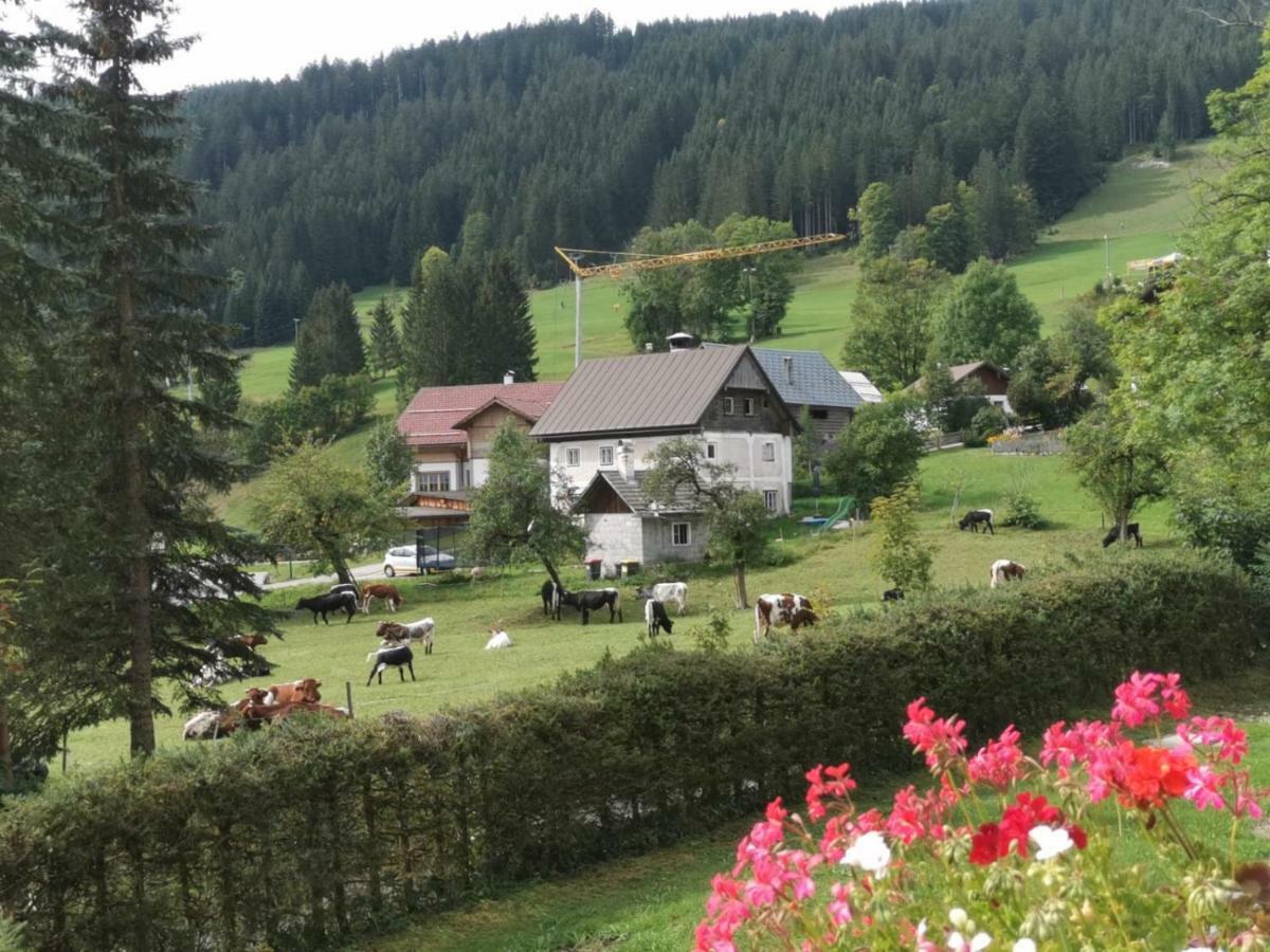 Dachstein Mountainview Gosau Apartment Exterior foto